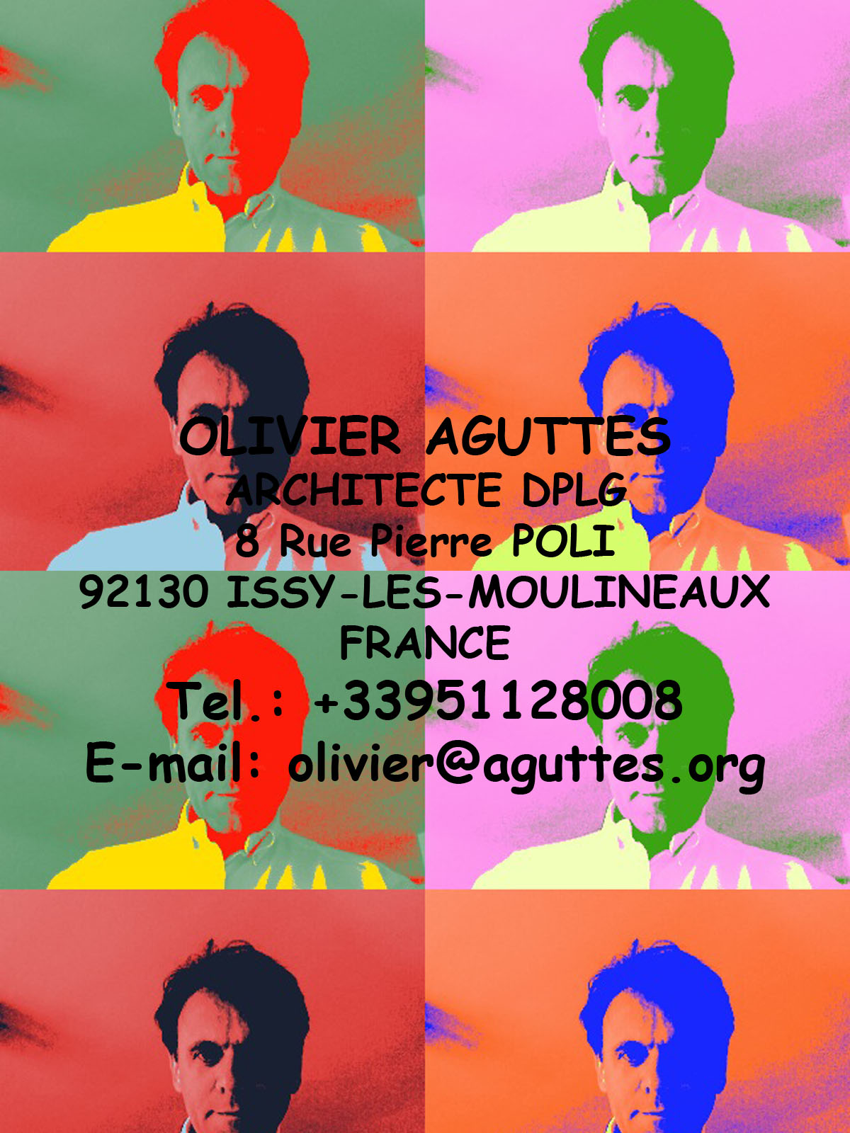 aguttes warhol